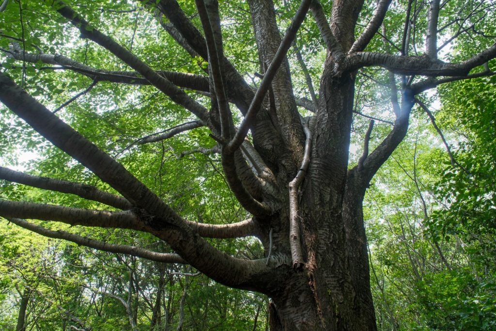 久しぶりの登山で撮ったお気に入りの一枚
